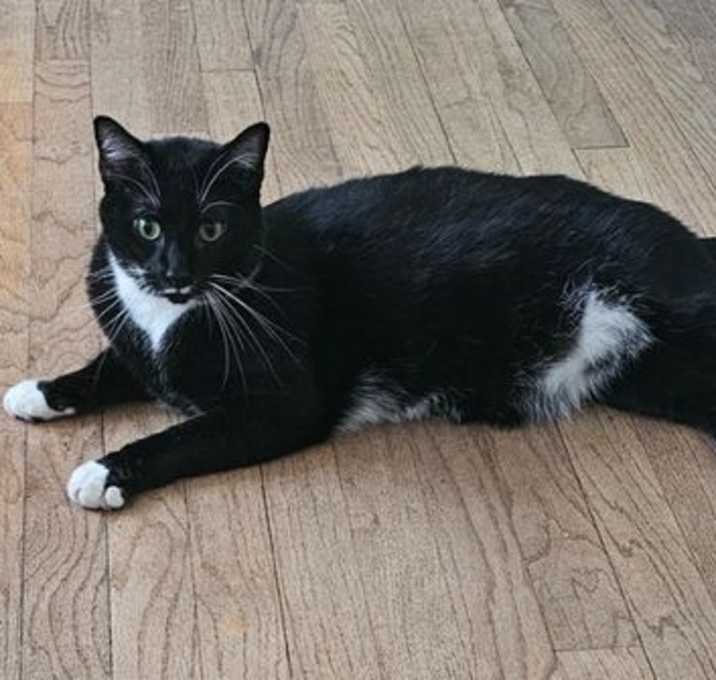 Photo of Mr Pringles