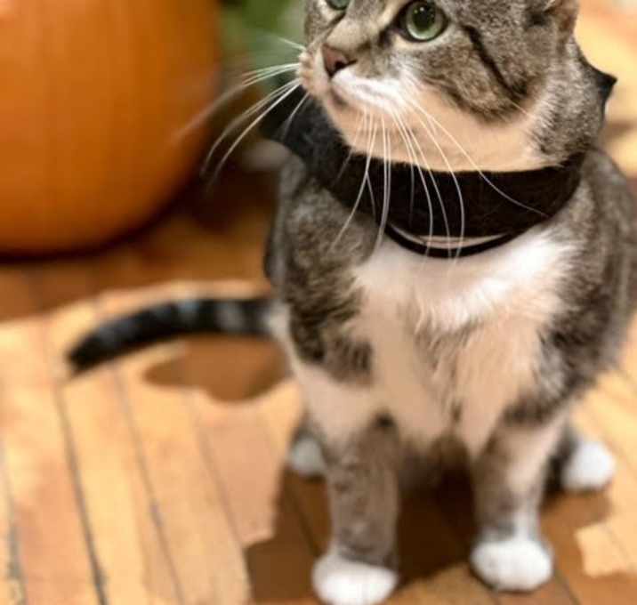 Photo of Marble