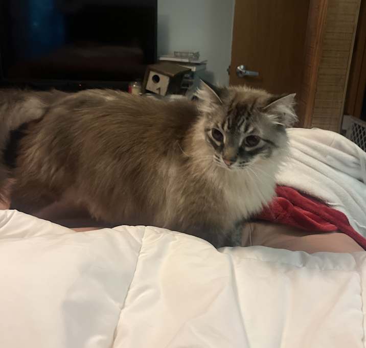 Photo of Olaf