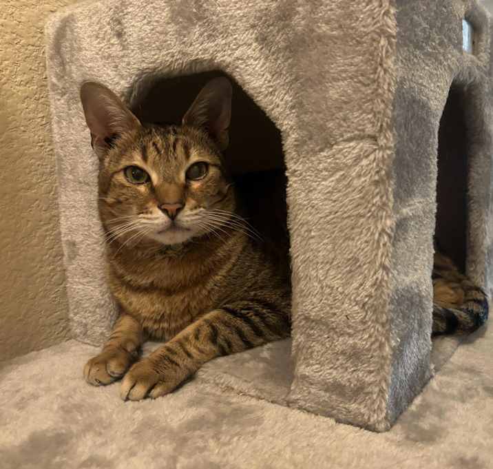Photo of Benjie