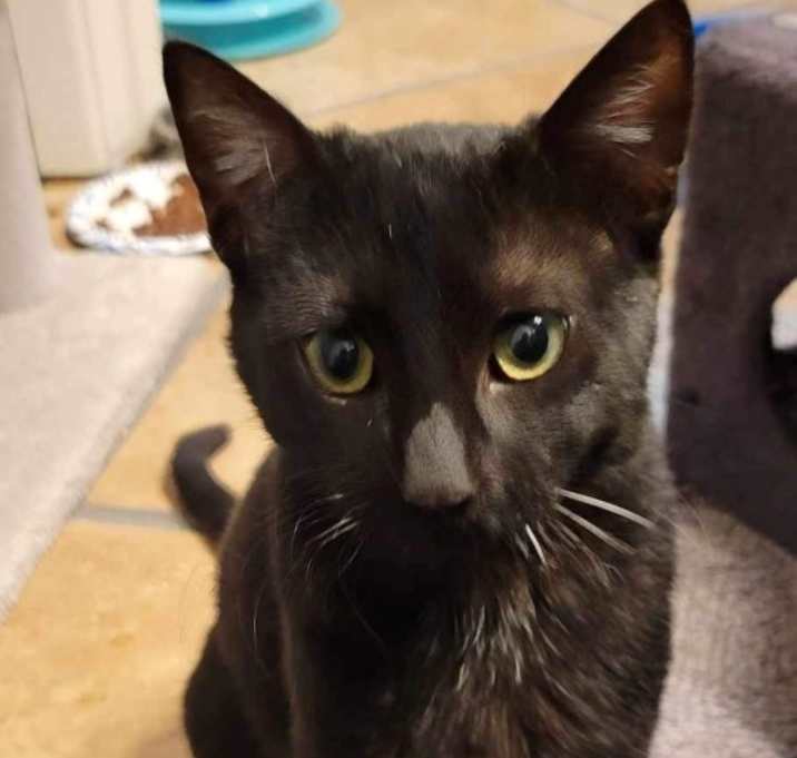 Photo of Bob