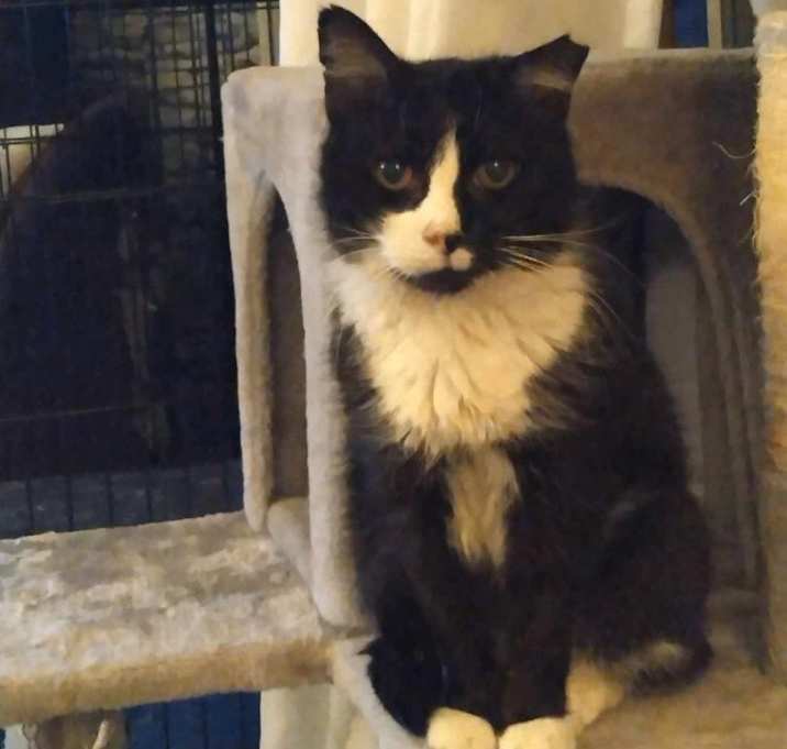 Photo of Matilda