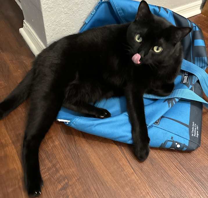 Photo of Mocha