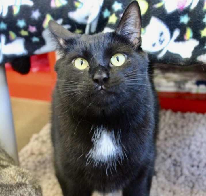 Photo of Taki