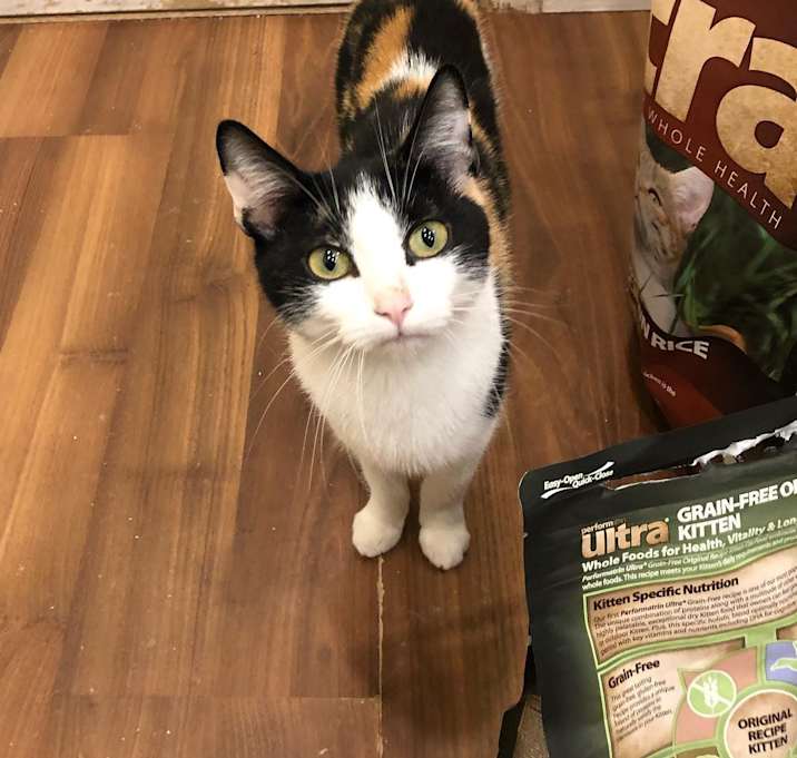 Photo of Pearl
