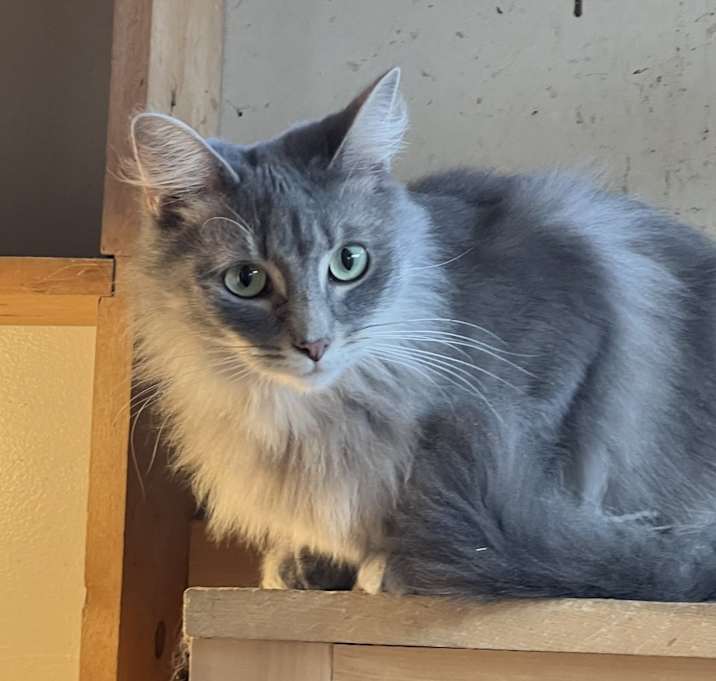 Photo of Mater
