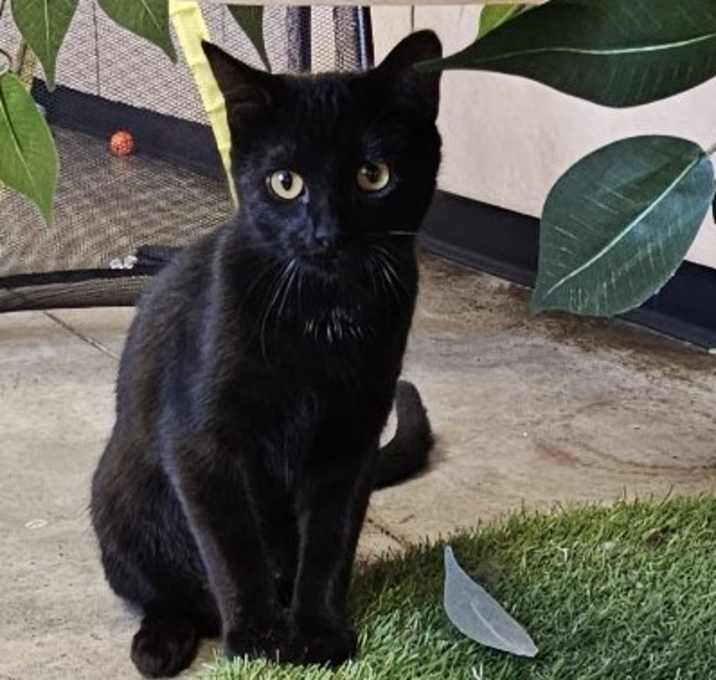 Photo of Princess