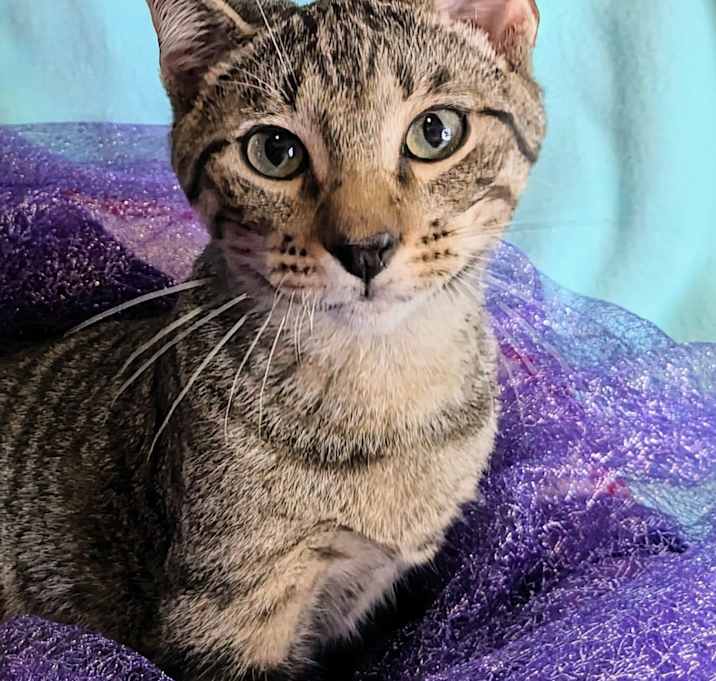 Photo of Hester