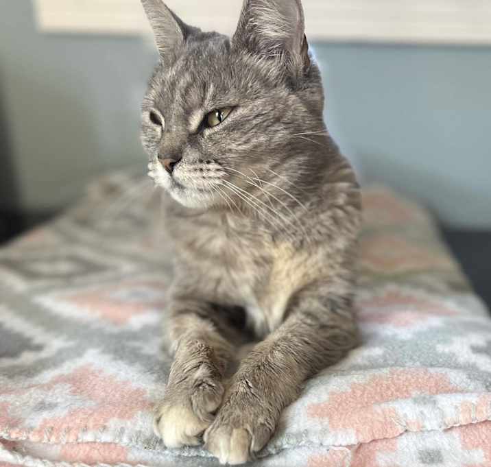 Photo of Gertie