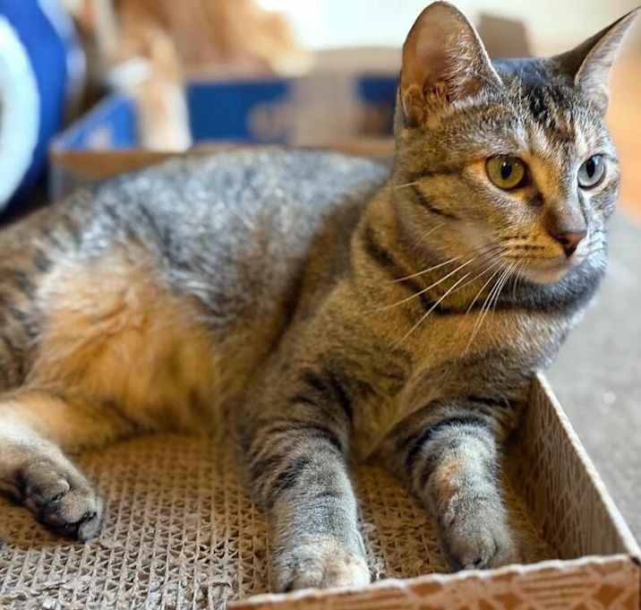Photo of Buttons