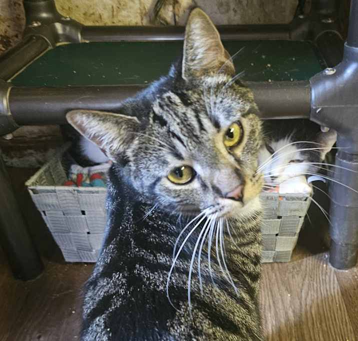 Photo of Mabel