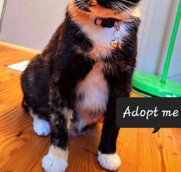 Photo of Junie B