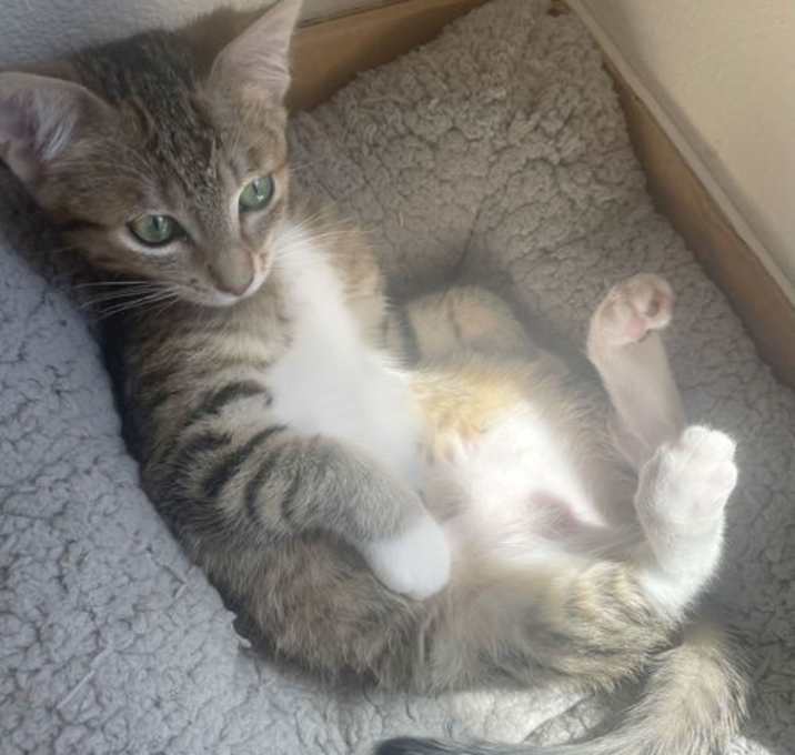 Photo of Hazel