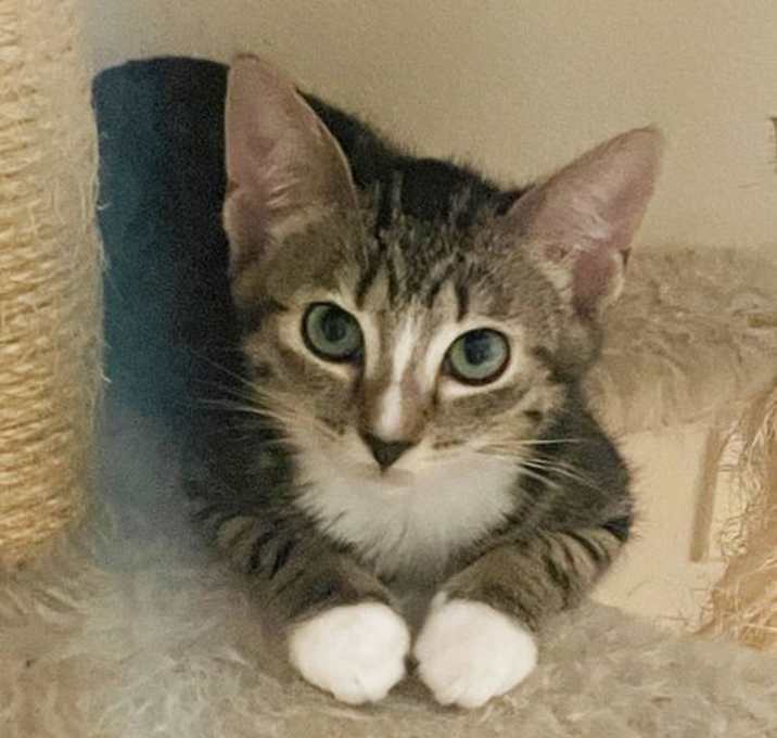 Photo of Harper