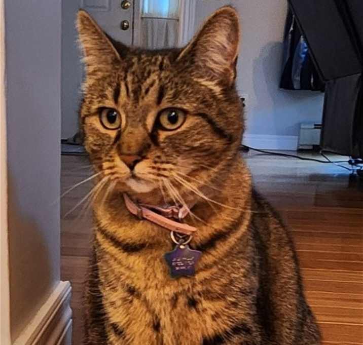 Photo of Jade--Courtesy Post