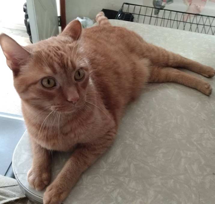 Photo of Little Moe