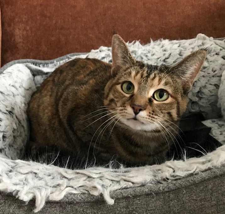 Photo of Lily