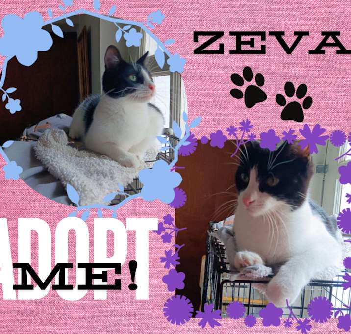 Photo of Zeva