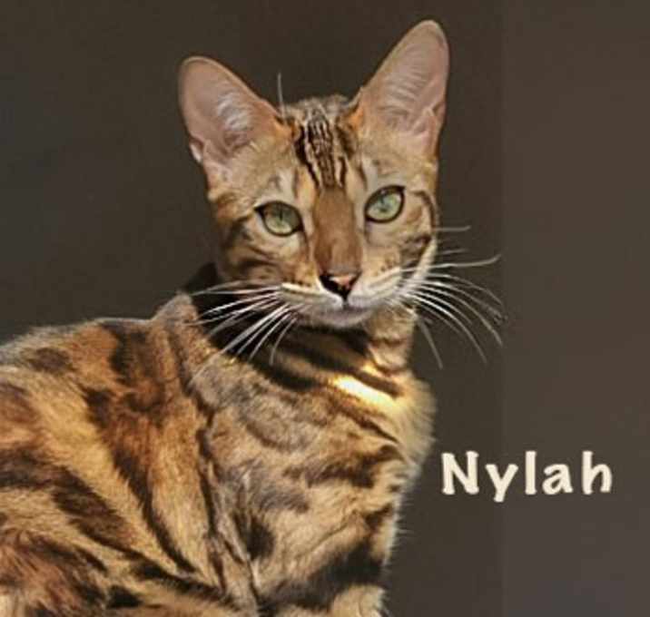 Photo of Nylah