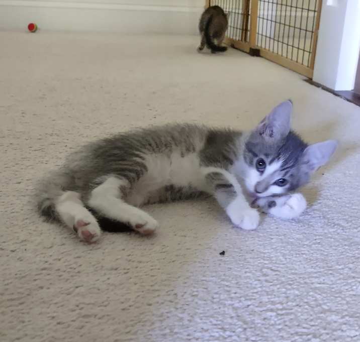 Photo of Orbit