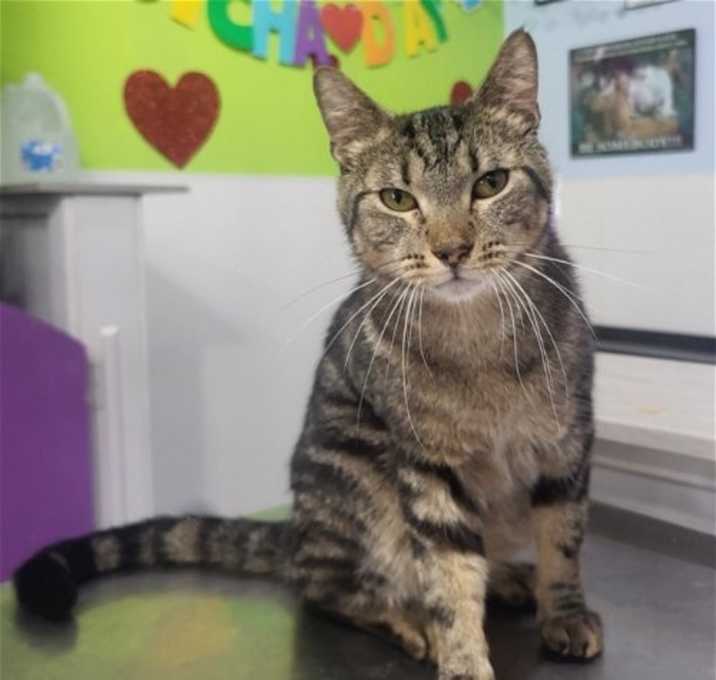 Photo of Storm