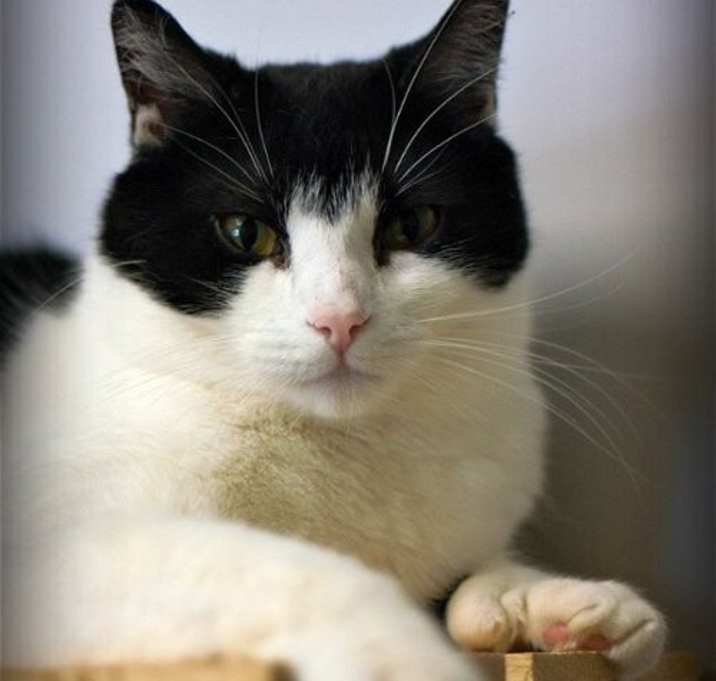 Photo of Plume