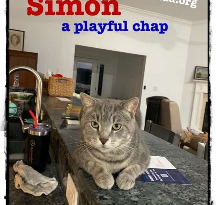 Photo of Simon