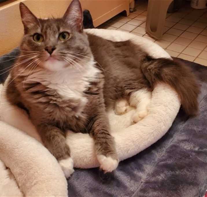 Photo of Angel