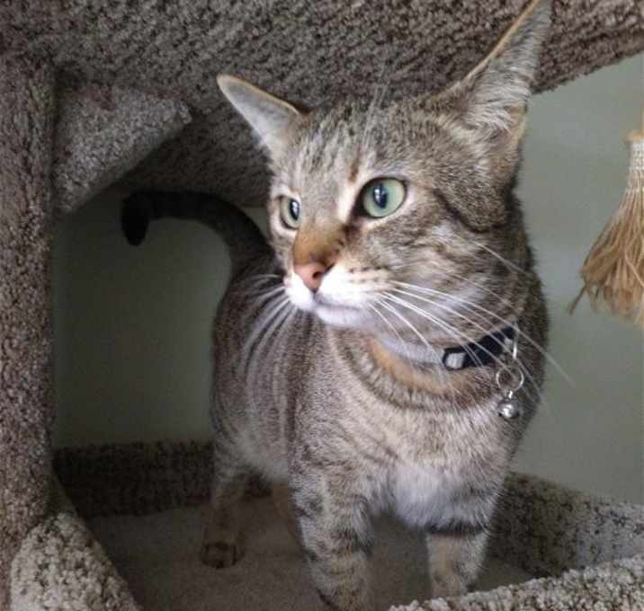 Photo of Mama Feisty
