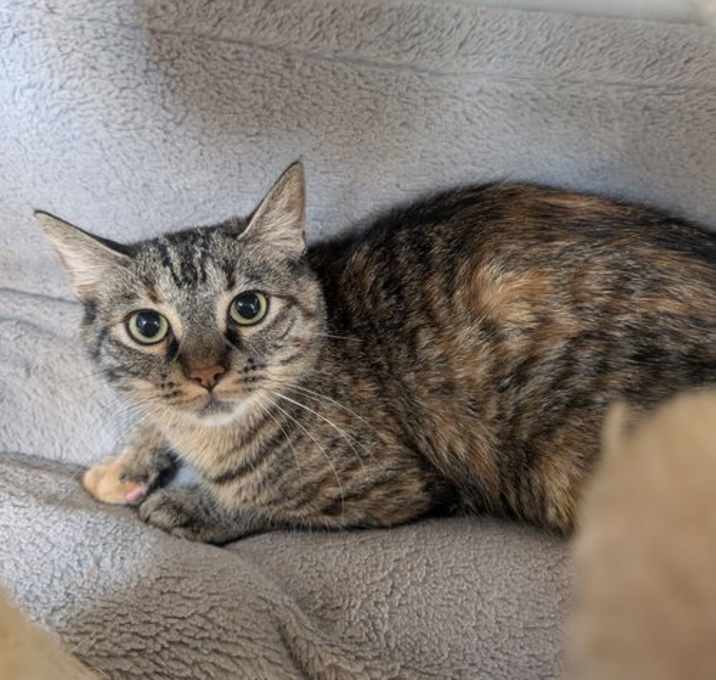 Photo of Sweet-tart