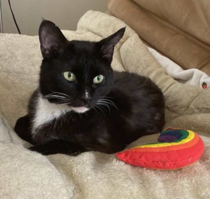 Photo of Pawl McCatney