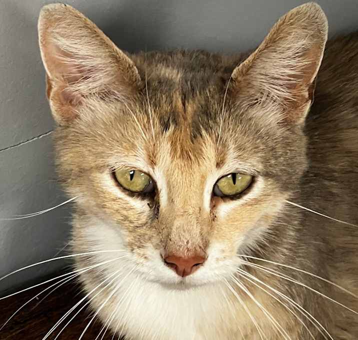 Photo of Bonnie