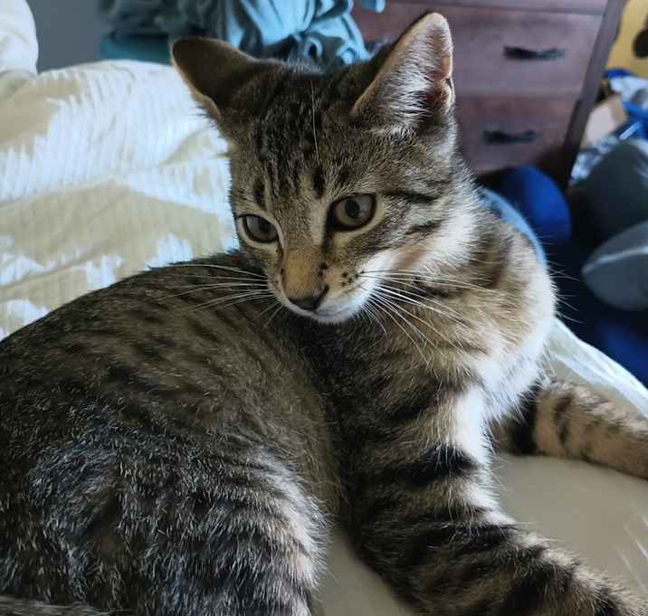 Photo of Alastor