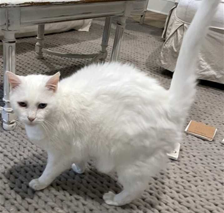 Photo of Lilly