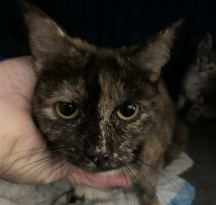 Photo of Fran