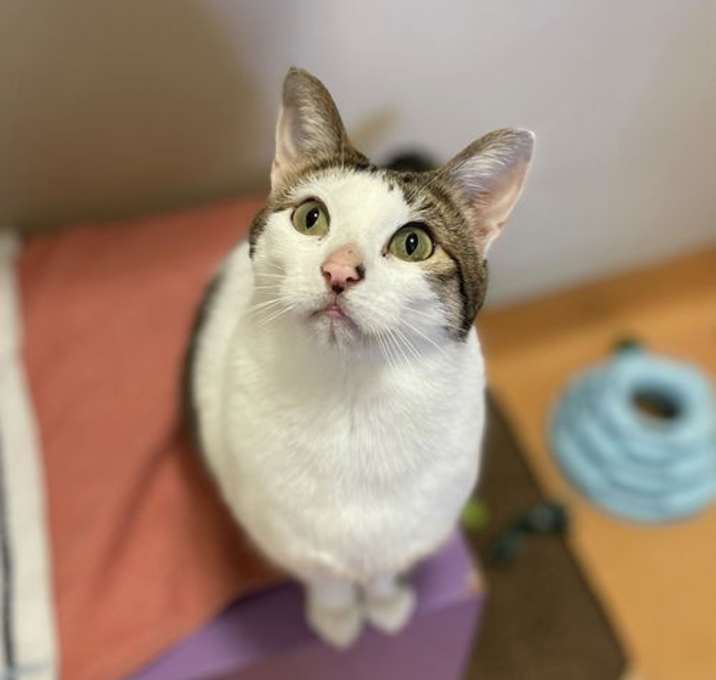 Photo of Vinny