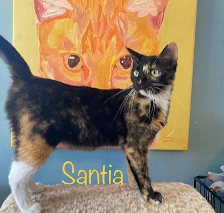 Photo of Santia