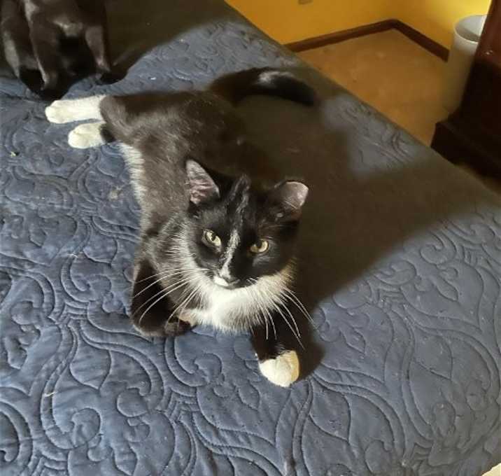 Photo of Hershey courtesy post