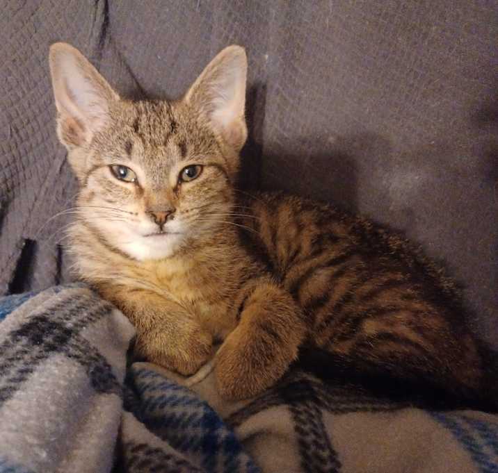 Photo of Phoebe