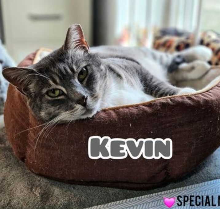 Photo of Kevin