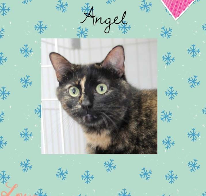 Photo of Angel