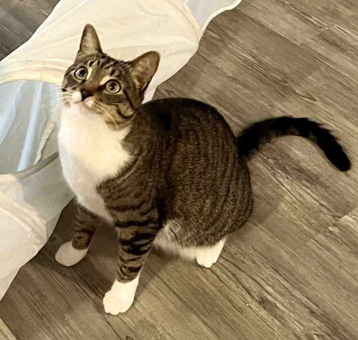 Photo of Lois aka Ada