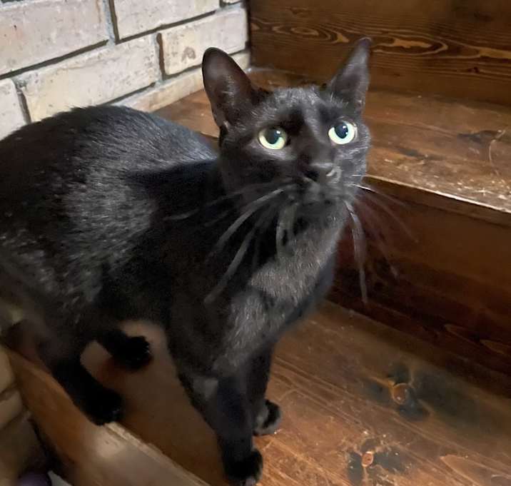 Photo of Monty