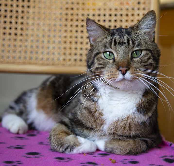 Photo of Quincy
