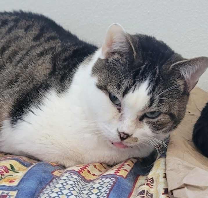 Photo of Wilma