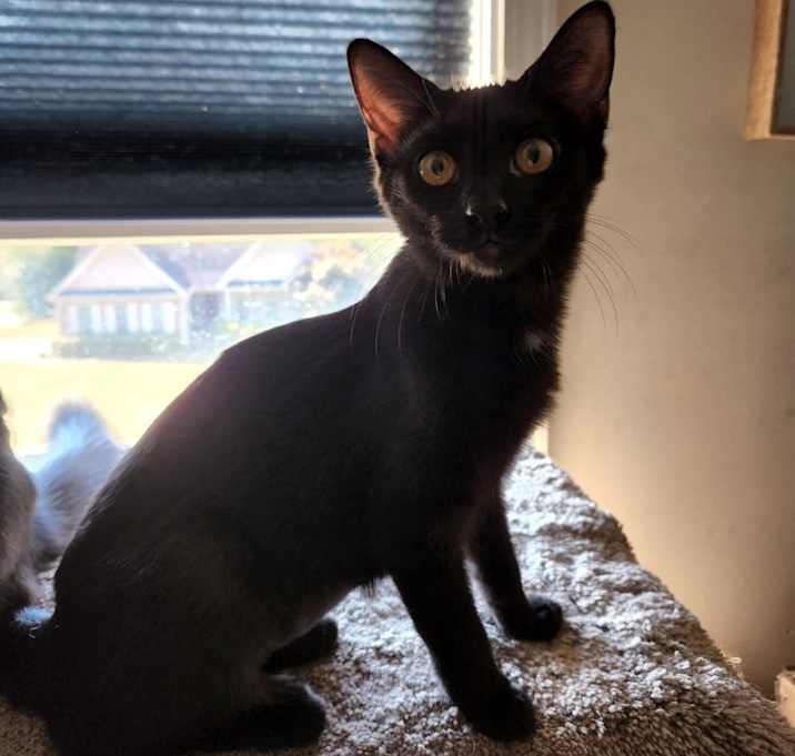 Photo of Fry