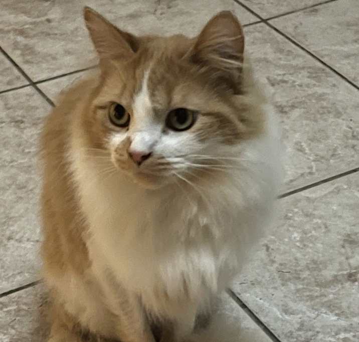 Photo of Lola