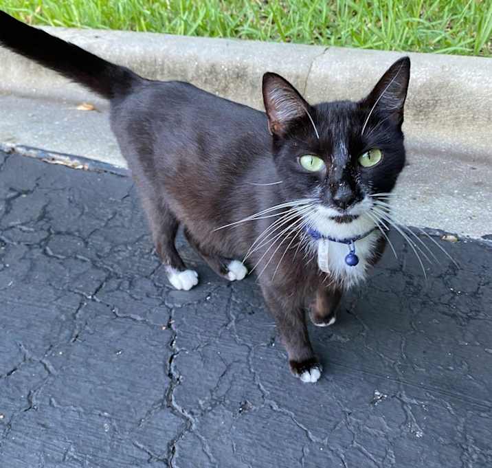 Photo of Bonnie Blue