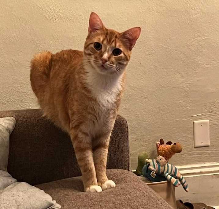Photo of Boris
