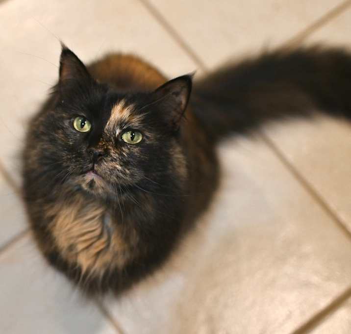 Photo of Puzzle